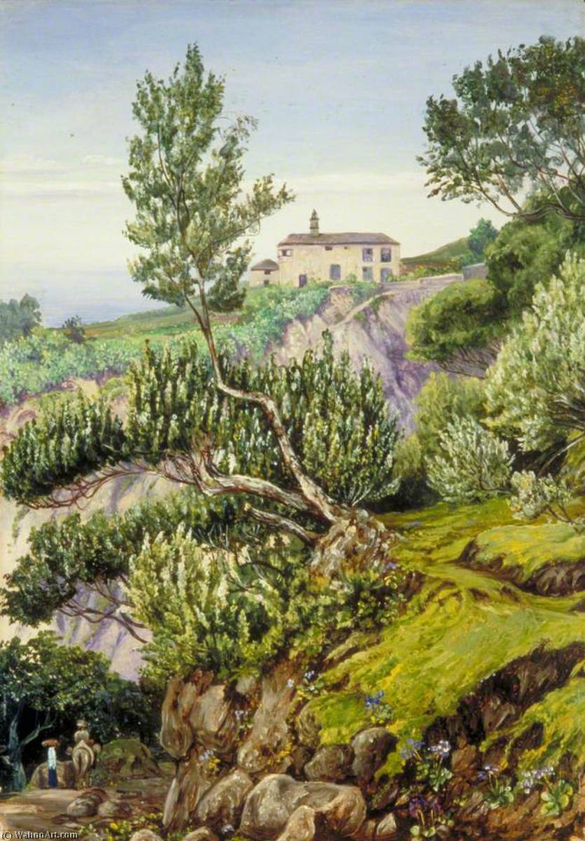 Wikioo.org - The Encyclopedia of Fine Arts - Painting, Artwork by Marianne North - Old Manor of Castro, Teneriffe