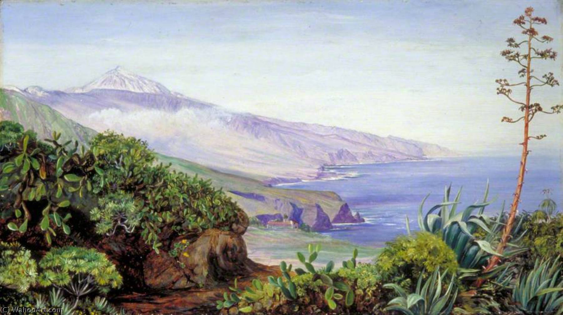 Wikioo.org - The Encyclopedia of Fine Arts - Painting, Artwork by Marianne North - View of the Peak of Teneriffe