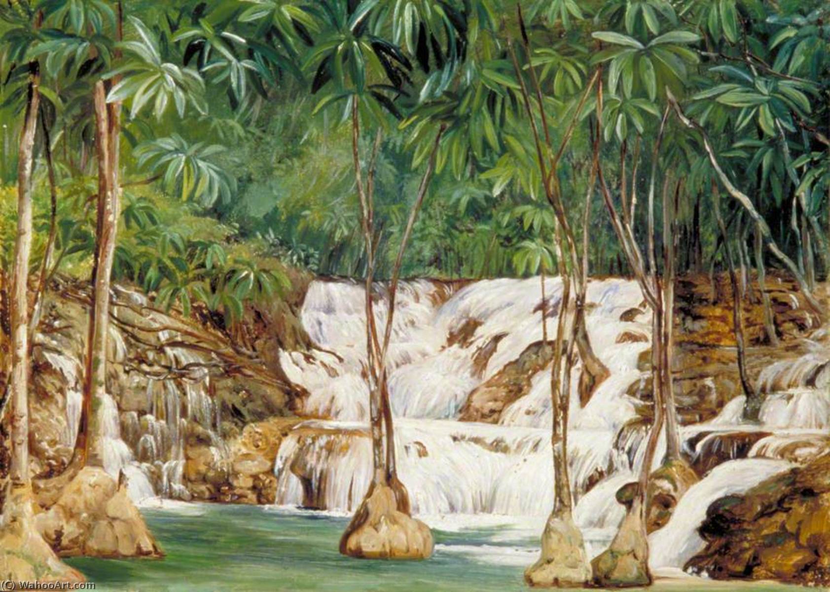 Wikioo.org - The Encyclopedia of Fine Arts - Painting, Artwork by Marianne North - One of the Sources of the Roaring River, Jamaica
