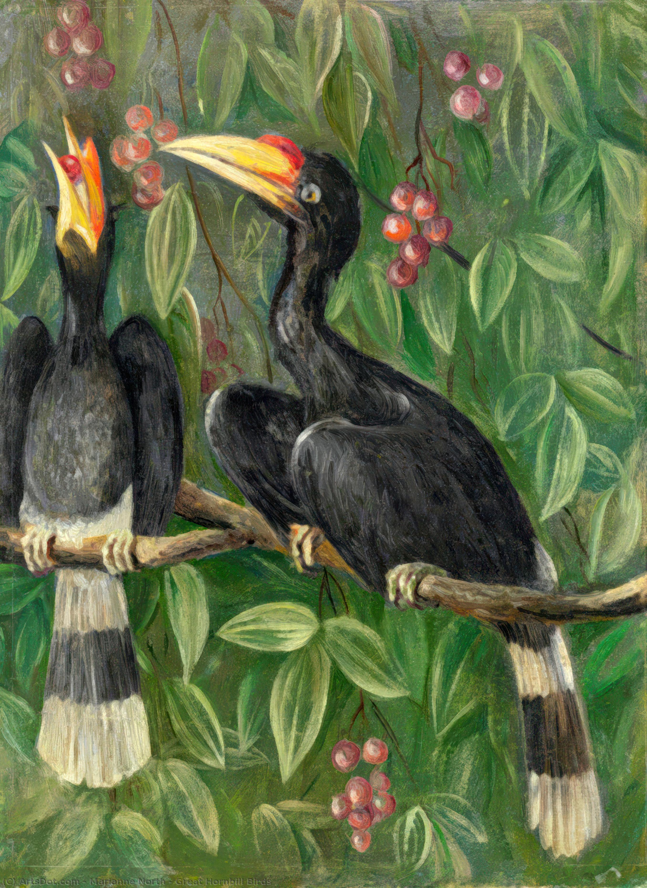 Wikioo.org - The Encyclopedia of Fine Arts - Painting, Artwork by Marianne North - Great Hornbill Birds