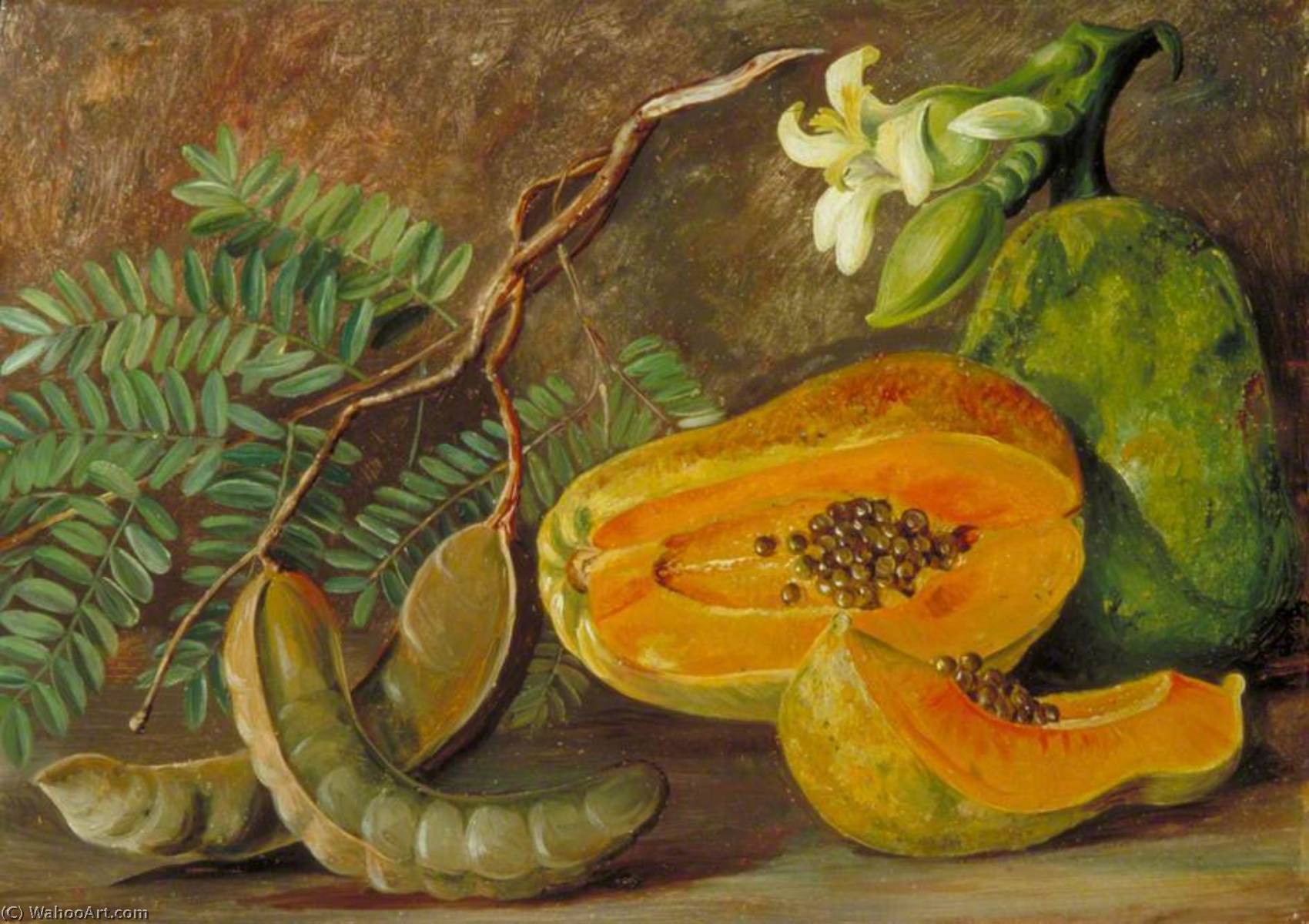 Wikioo.org - The Encyclopedia of Fine Arts - Painting, Artwork by Marianne North - Foliage and Fruit of the Tamarind, and Flowers and Fruit of the Papaw in Java