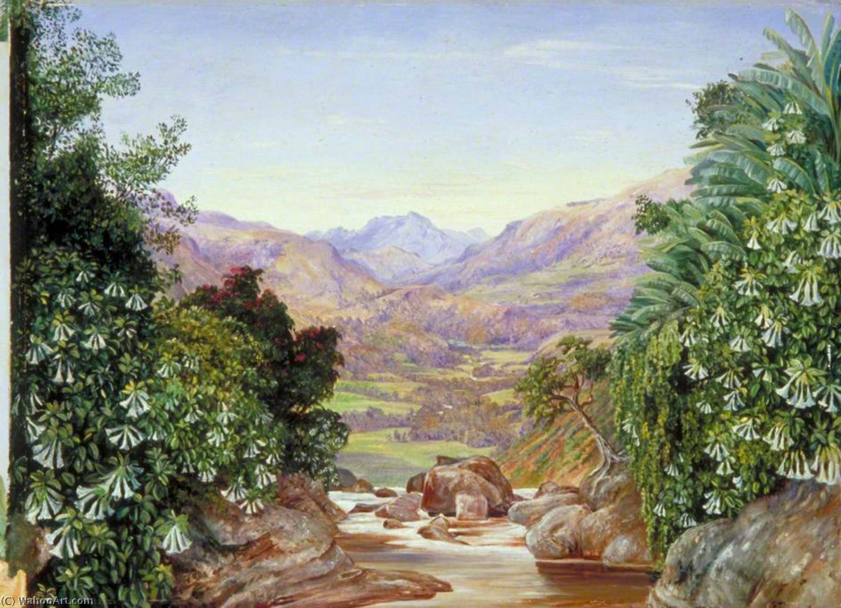 WikiOO.org – 美術百科全書 - 繪畫，作品 Marianne North - 查看从 某个东西的上放  的 瀑布 在 Ramboddy , 锡兰