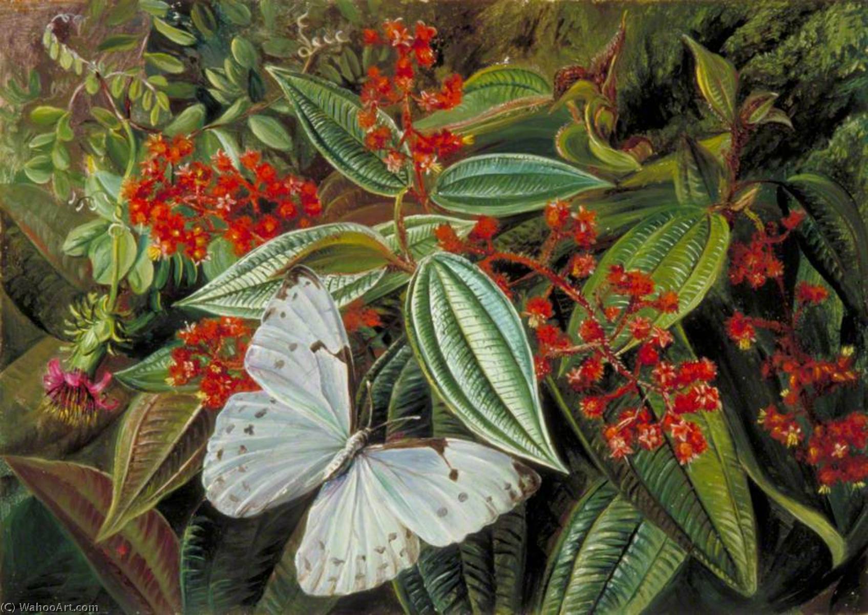 Wikioo.org - Die Enzyklopädie bildender Kunst - Malerei, Kunstwerk von Marianne North - bäume laden mit parasiten und Epiphyten in ein Brasilianer Garten
