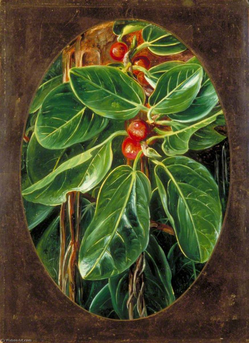 WikiOO.org - 백과 사전 - 회화, 삽화 Marianne North - Foliage and Fruit of the Banyan