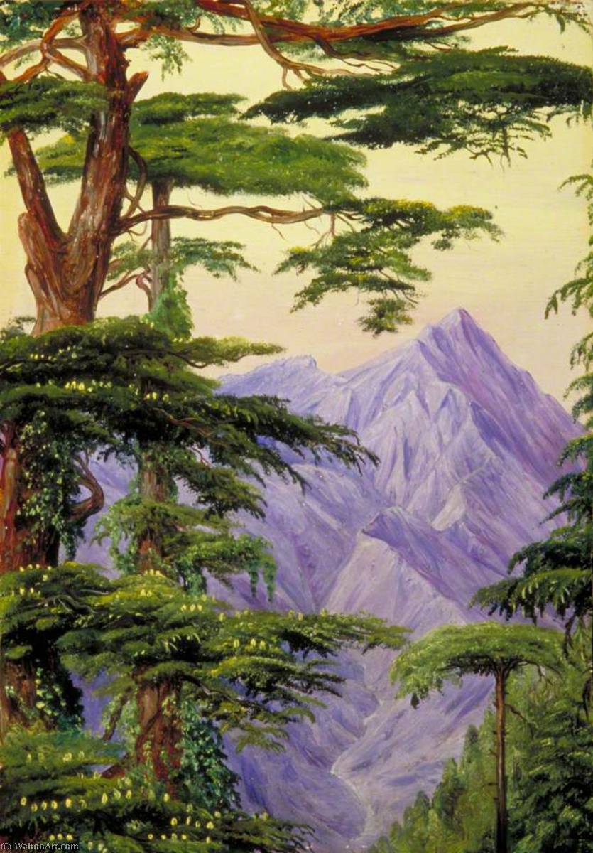 WikiOO.org - Encyclopedia of Fine Arts - Maľba, Artwork Marianne North - Deodars and the Choor Mountain from Nahl Dehra, India