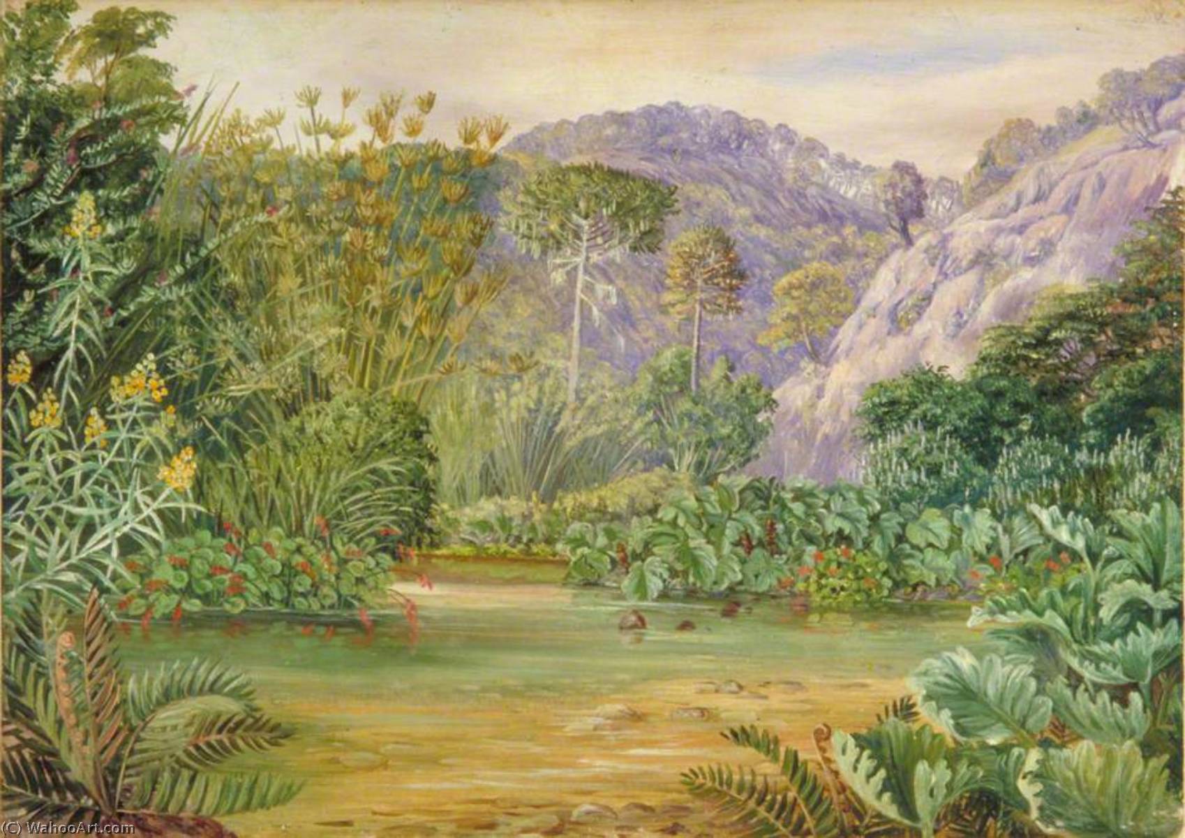 WikiOO.org - Enciklopedija dailės - Tapyba, meno kuriniai Marianne North - Vegetation on a Stream at Chanleon, Chili