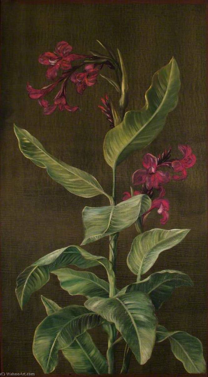 Wikioo.org - The Encyclopedia of Fine Arts - Painting, Artwork by Marianne North - A Garden Variety of Indian Shot