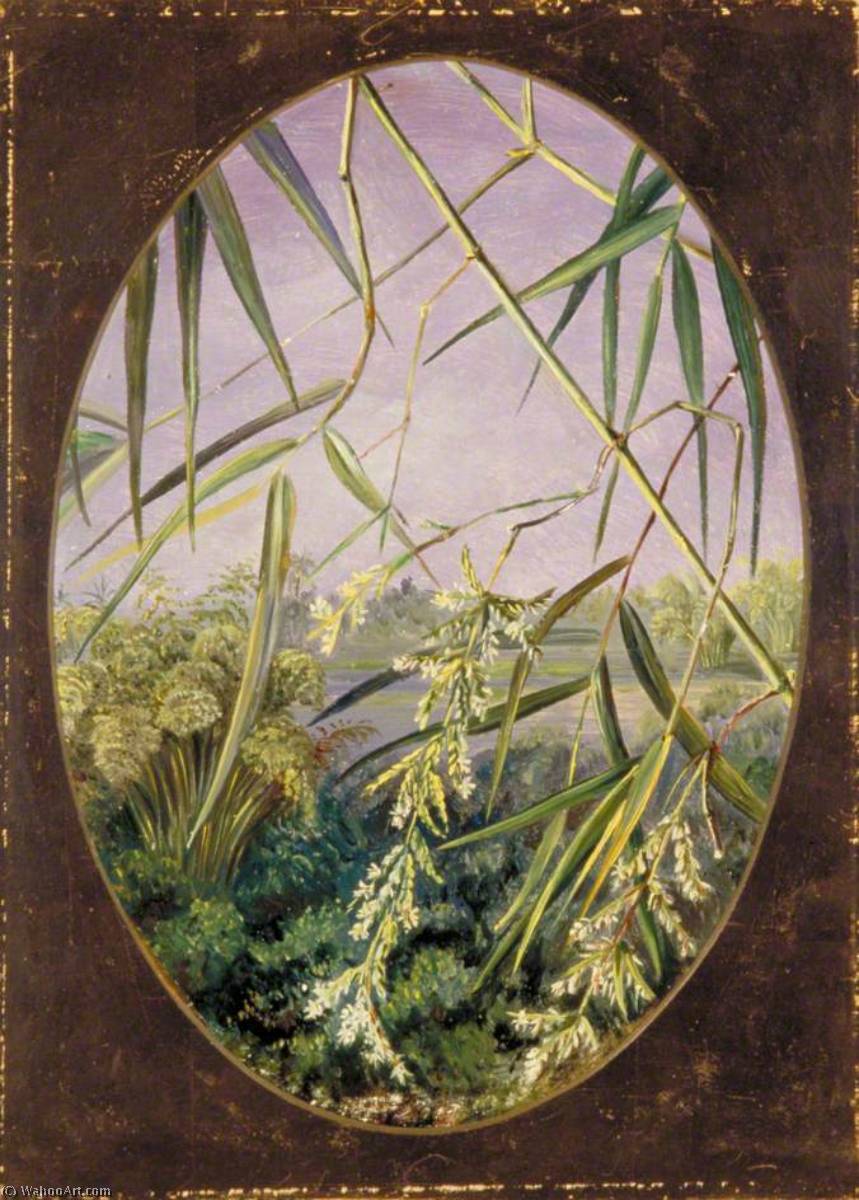 WikiOO.org - אנציקלופדיה לאמנויות יפות - ציור, יצירות אמנות Marianne North - Flowers of the Common Bamboo with Tufts of the Plants Behind