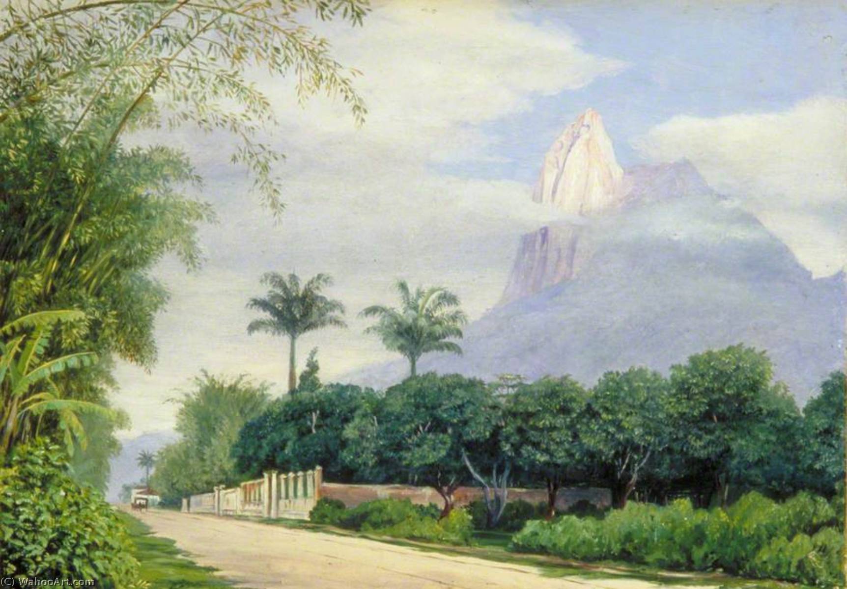 Wikioo.org - The Encyclopedia of Fine Arts - Painting, Artwork by Marianne North - View of the Corcovado Mountain near Rio de Janeiro, Brazil