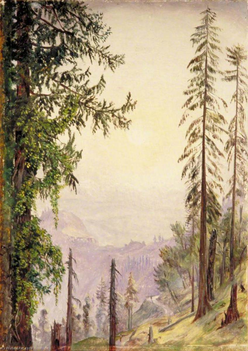 WikiOO.org - Encyclopedia of Fine Arts - Festés, Grafika Marianne North - Sunrise among the Pines near Fagoo in the Himalayas