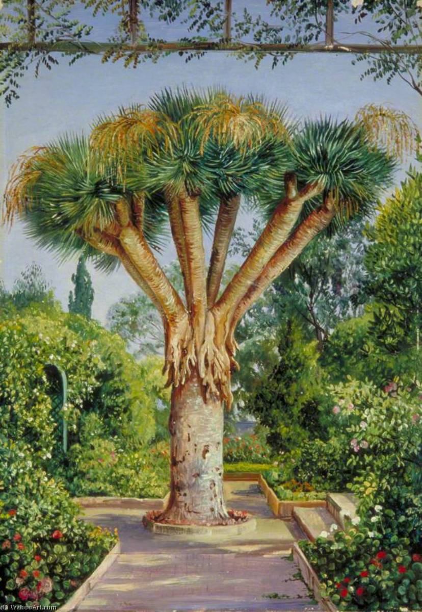 Wikioo.org - The Encyclopedia of Fine Arts - Painting, Artwork by Marianne North - Dragon Tree in a Garden at Santa Cruz, Teneriffe