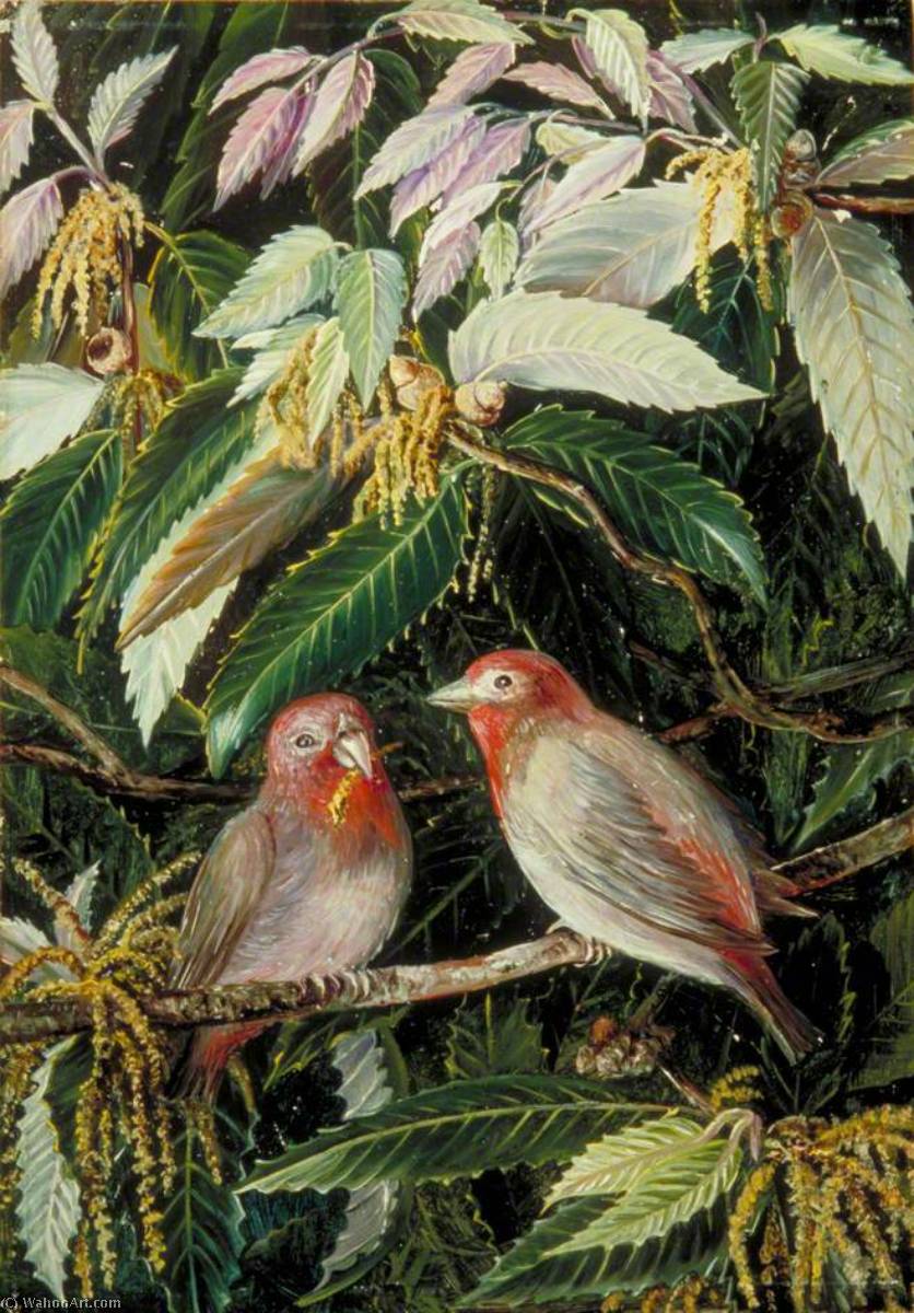 Wikioo.org - The Encyclopedia of Fine Arts - Painting, Artwork by Marianne North - A Himalayan Oak and Birds, Nainee Tal, India