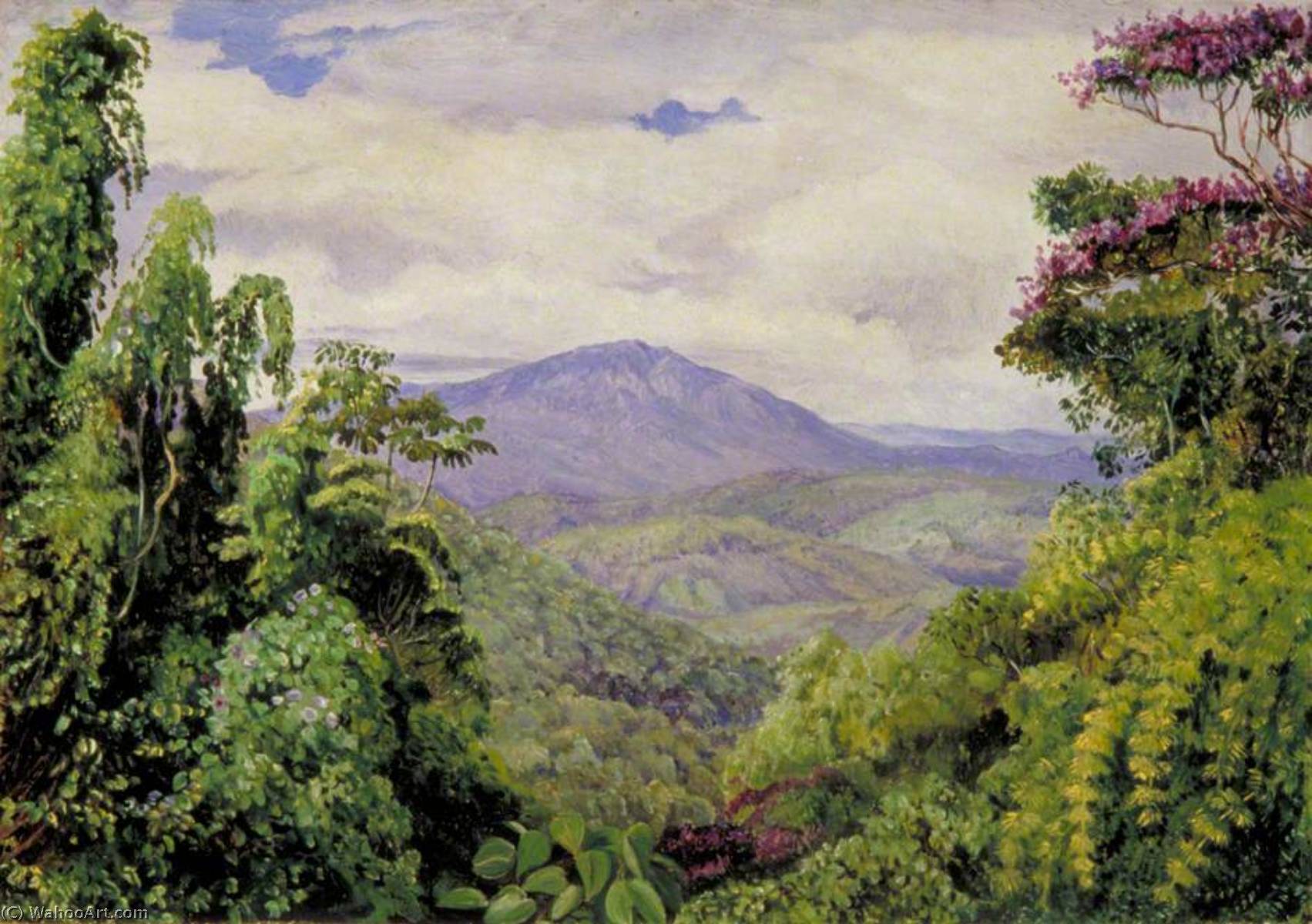 WikiOO.org - Encyclopedia of Fine Arts - Målning, konstverk Marianne North - View of the Piedade Mountains from Congo, Brazil