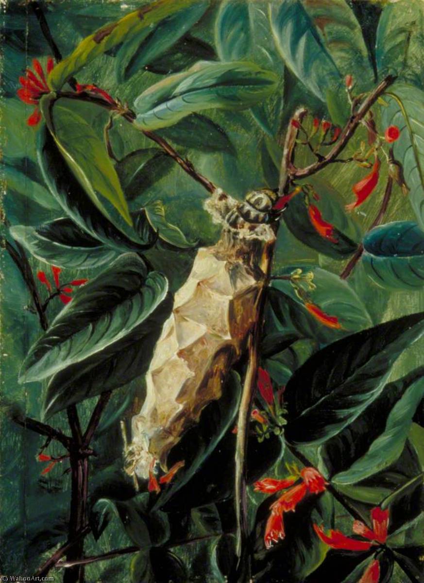 Wikioo.org - The Encyclopedia of Fine Arts - Painting, Artwork by Marianne North - The House Builder Caterpillar on a Flowering Shrub, Brazil