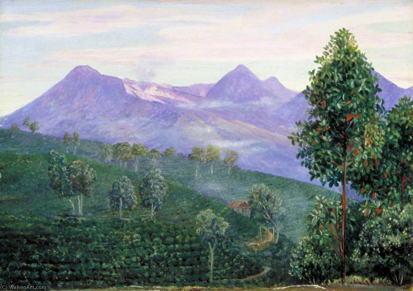 Wikioo.org - The Encyclopedia of Fine Arts - Painting, Artwork by Marianne North - Another View of Papandayang with Jak Fruit Tree in the Foreground