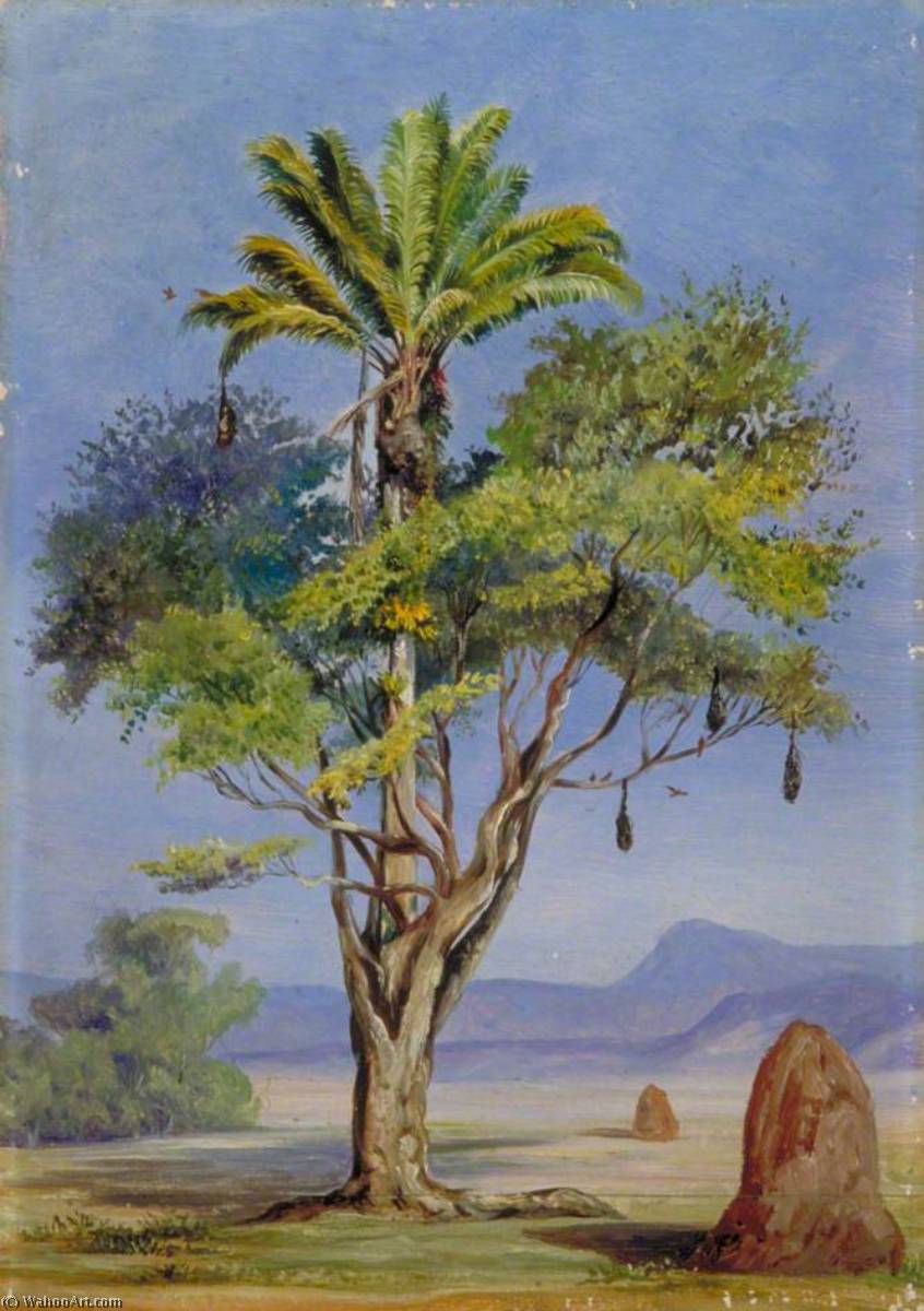 Wikioo.org - The Encyclopedia of Fine Arts - Painting, Artwork by Marianne North - 'Scotchman Hugging a Creole', Brazil