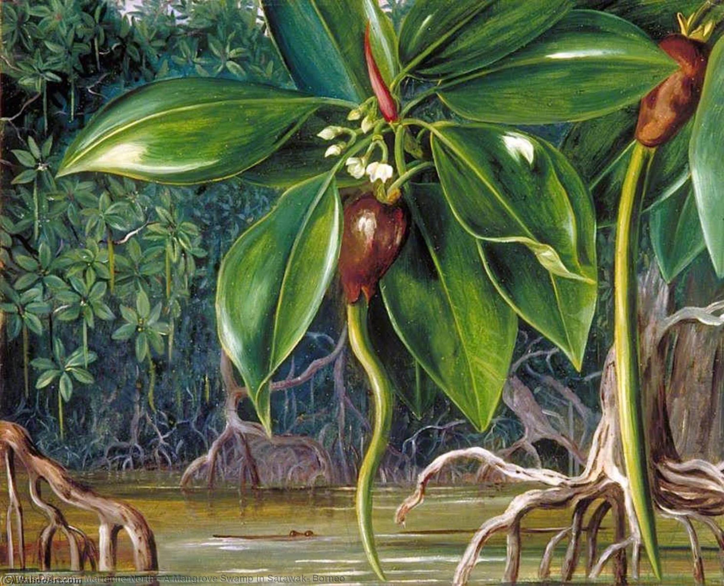 Wikioo.org - The Encyclopedia of Fine Arts - Painting, Artwork by Marianne North - A Mangrove Swamp in Sarawak, Borneo