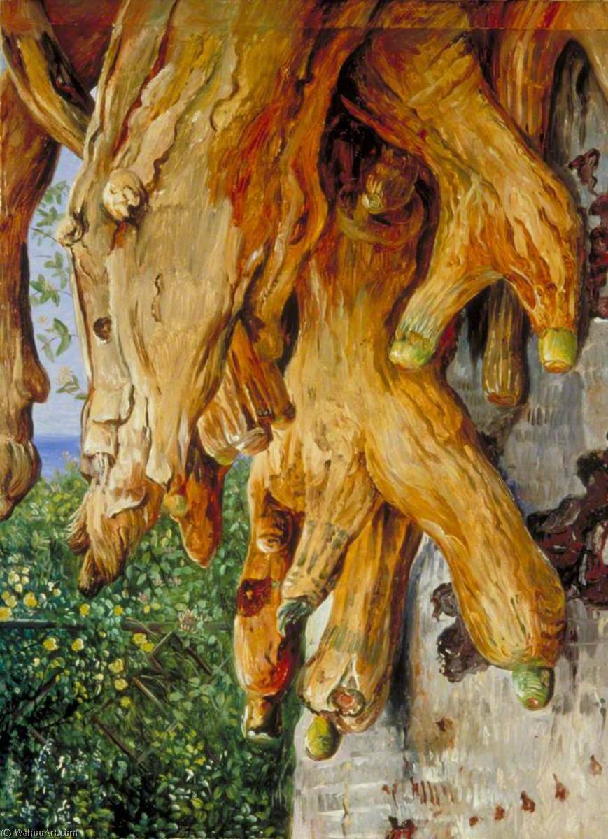 WikiOO.org - Encyclopedia of Fine Arts - Schilderen, Artwork Marianne North - Cluster of Air Roots of a Dragon Tree, Teneriffe