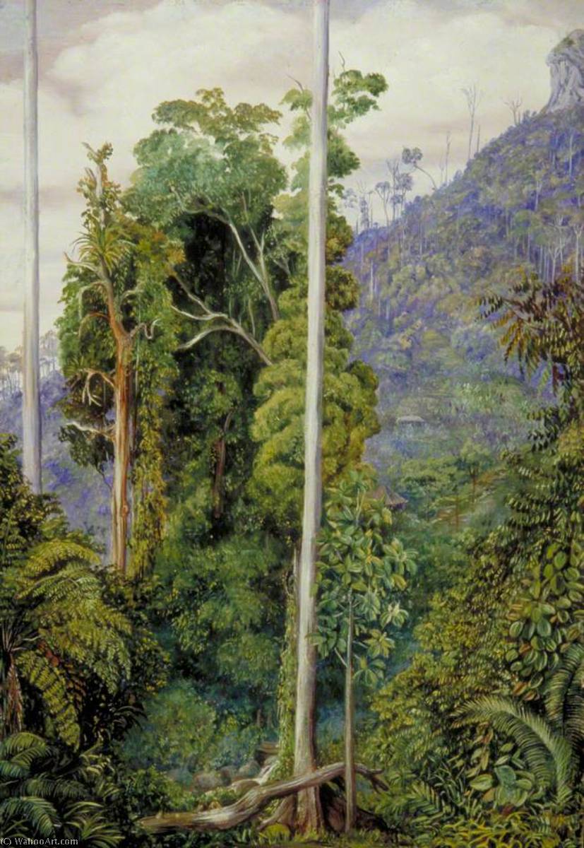 WikiOO.org - 백과 사전 - 회화, 삽화 Marianne North - View of the Hill of Tegora, Borneo