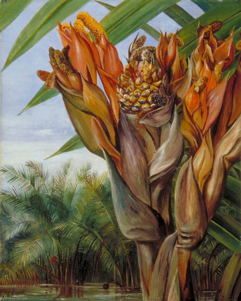 WikiOO.org - אנציקלופדיה לאמנויות יפות - ציור, יצירות אמנות Marianne North - Nipa Palm, Sarawak, Borneo