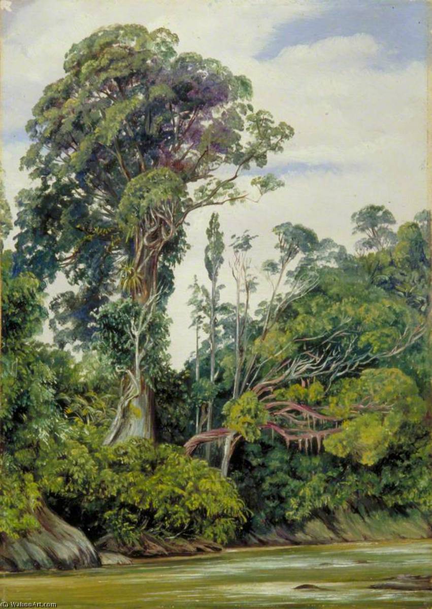 WikiOO.org - Encyclopedia of Fine Arts - Maľba, Artwork Marianne North - Tree Covered with Epiphytes and a Palawan Tree, Sarawak, Borneo