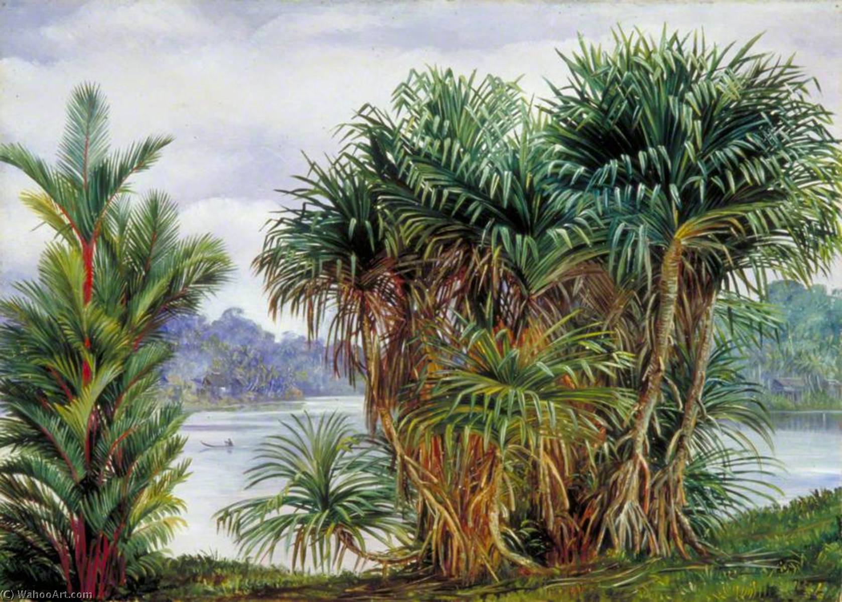 Wikioo.org - The Encyclopedia of Fine Arts - Painting, Artwork by Marianne North - A Clump of Screw Pine and Palm with a Glimpse of the River, Sarawak, Borneo