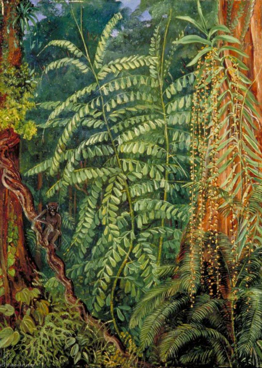 WikiOO.org - دایره المعارف هنرهای زیبا - نقاشی، آثار هنری Marianne North - Vegetation and Ourang Outang in Forest of Mattanga, Borneo