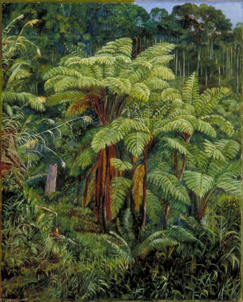 Wikioo.org - Die Enzyklopädie bildender Kunst - Malerei, Kunstwerk von Marianne North - Gruppe von Baum Farne um den Frühling am Matang , Sarawak , Borneo