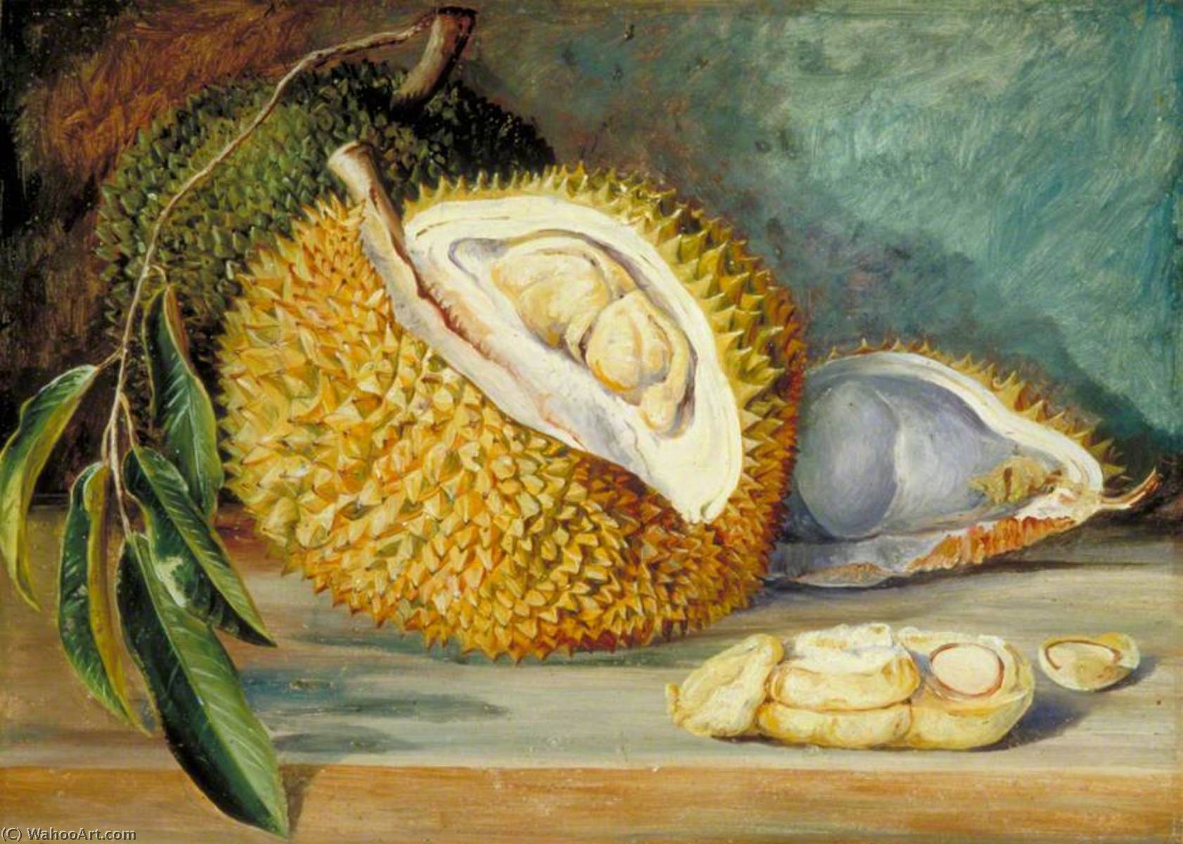 Wikioo.org - The Encyclopedia of Fine Arts - Painting, Artwork by Marianne North - Durian Fruit from a Large Tree, Sarawak, Borneo
