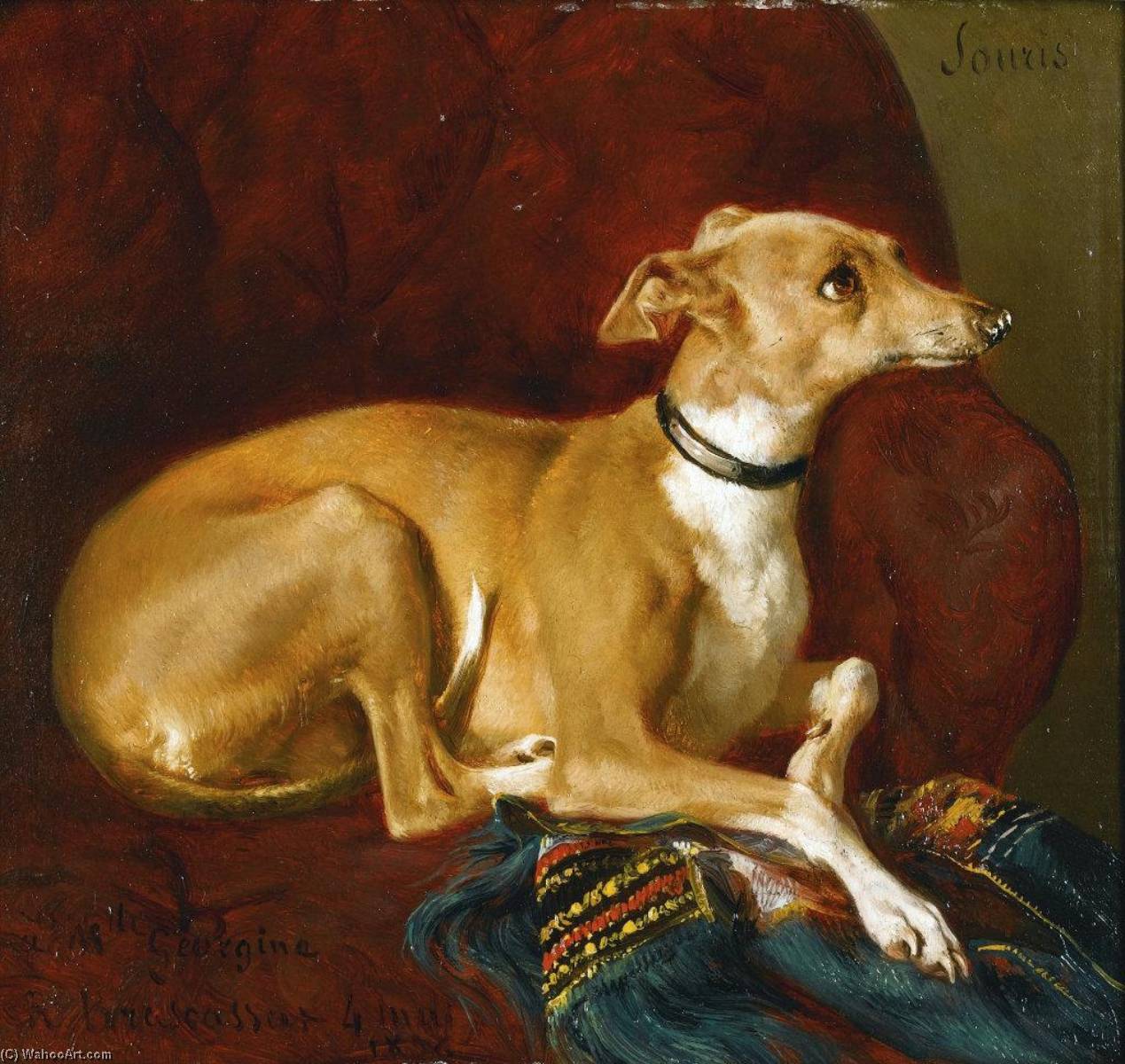 Wikioo.org - The Encyclopedia of Fine Arts - Painting, Artwork by Jacques Raymond Brascassat - A Greyhound Resting on a Chair