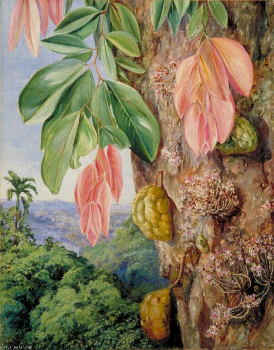 WikiOO.org - Enciclopedia of Fine Arts - Pictura, lucrări de artă Marianne North - View in Singapore with Nyum Nyum Tree