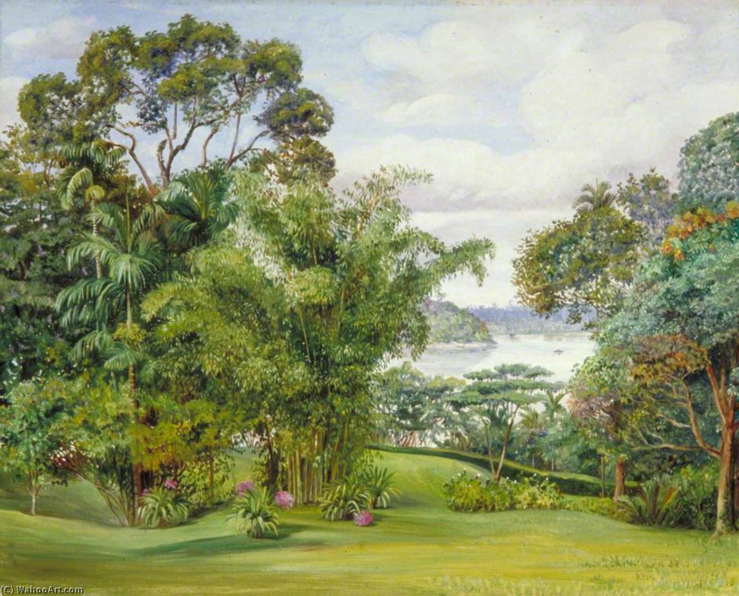Wikioo.org - The Encyclopedia of Fine Arts - Painting, Artwork by Marianne North - View of the River from the Rajah's Garden, Sarawak, Borneo