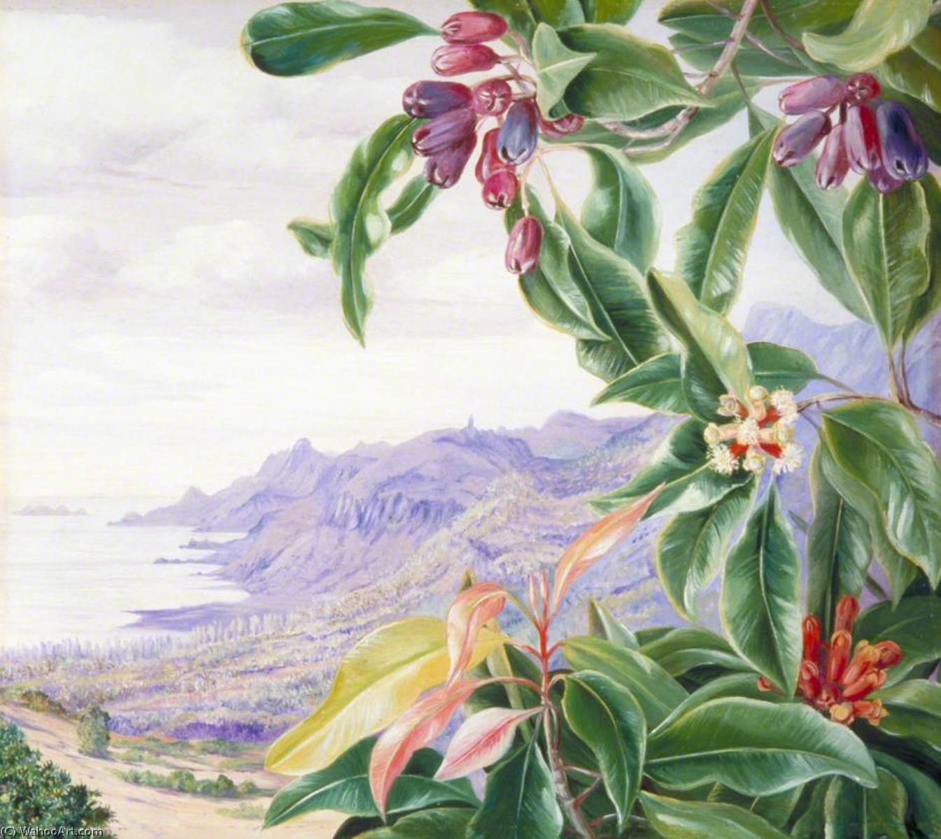Wikioo.org - The Encyclopedia of Fine Arts - Painting, Artwork by Marianne North - The Clove in Fruit and View over Mahé, Seychelles