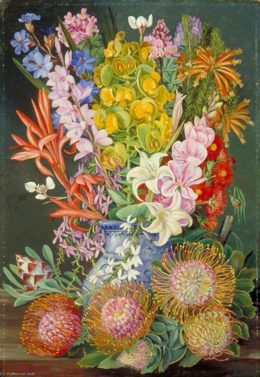 WikiOO.org - Encyclopedia of Fine Arts - Maľba, Artwork Marianne North - Wild Flowers of Ceres, South Africa