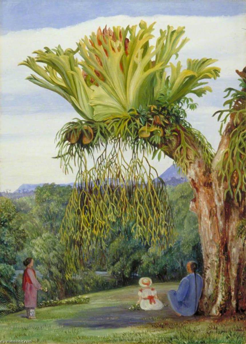 WikiOO.org - Encyclopedia of Fine Arts - Lukisan, Artwork Marianne North - Stagshorn Fern and the Young Rajah of Sarawak, Borneo, with Chinese Attendant