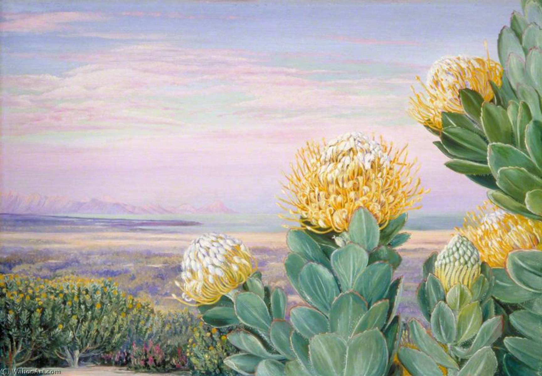 WikiOO.org - Encyclopedia of Fine Arts - Maľba, Artwork Marianne North - Krippelboom with False Bay in the Distance, South Africa
