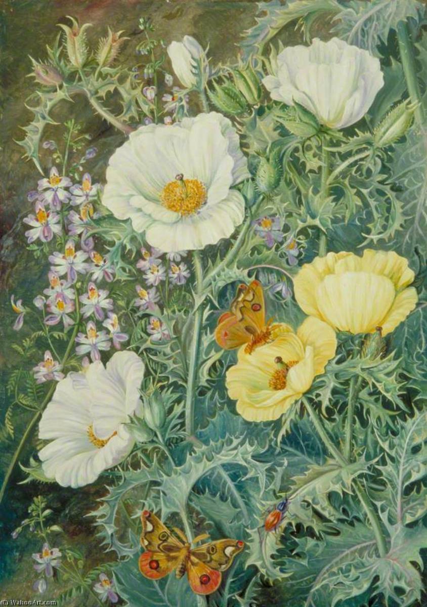 Wikioo.org - The Encyclopedia of Fine Arts - Painting, Artwork by Marianne North - Mexican Poppies, Chilian Schizanthus and Insects