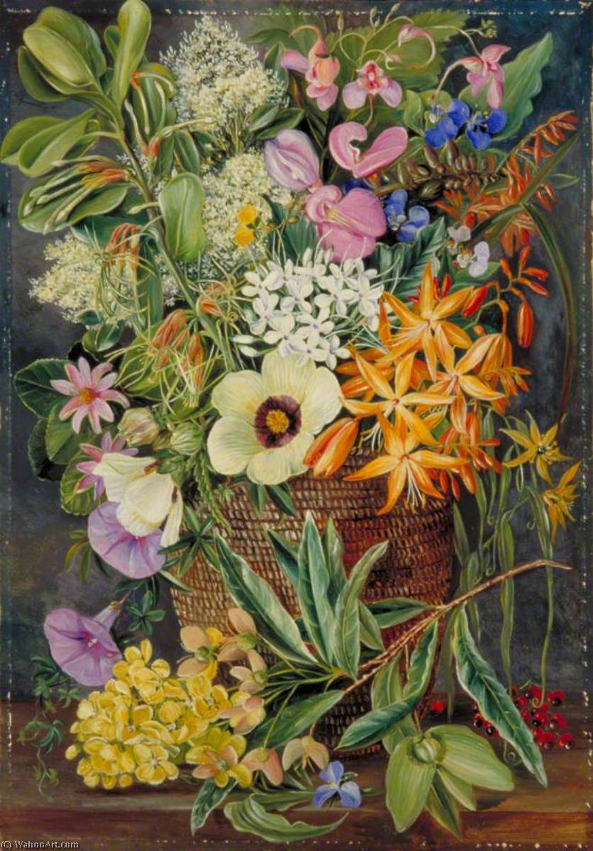 Wikioo.org - The Encyclopedia of Fine Arts - Painting, Artwork by Marianne North - Flowers of St Johns in Pondo Basket