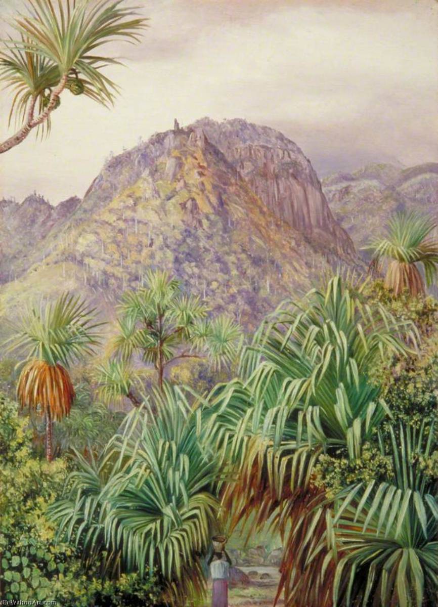 Wikioo.org - The Encyclopedia of Fine Arts - Painting, Artwork by Marianne North - Screw Pines on the Hills of Mahé, Seychelles