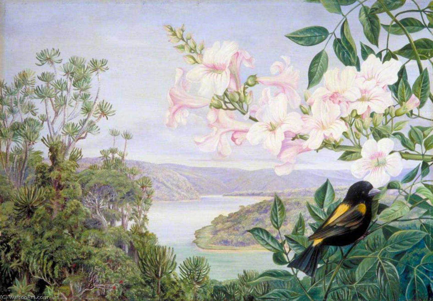 Wikioo.org - The Encyclopedia of Fine Arts - Painting, Artwork by Marianne North - View on the Kowie River with Trumpet Flower in Front