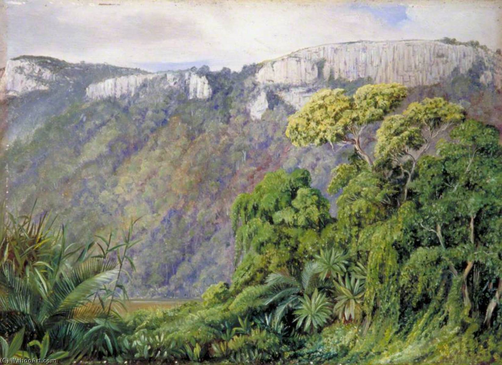 WikiOO.org - Encyclopedia of Fine Arts - Schilderen, Artwork Marianne North - Vegetation on the St John's River, Kaffraria
