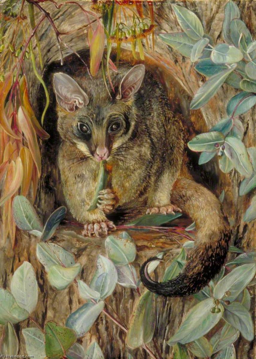 Wikioo.org - The Encyclopedia of Fine Arts - Painting, Artwork by Marianne North - Possum up a Gum Tree