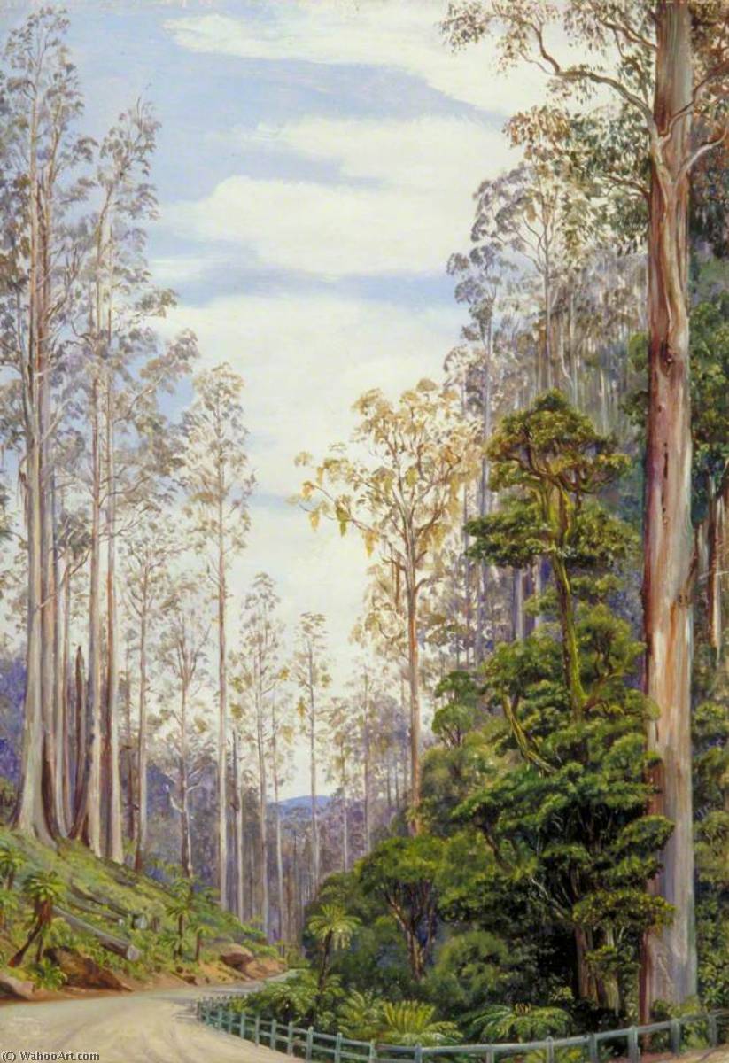 WikiOO.org - دایره المعارف هنرهای زیبا - نقاشی، آثار هنری Marianne North - Trees near Fernshaw, Victoria