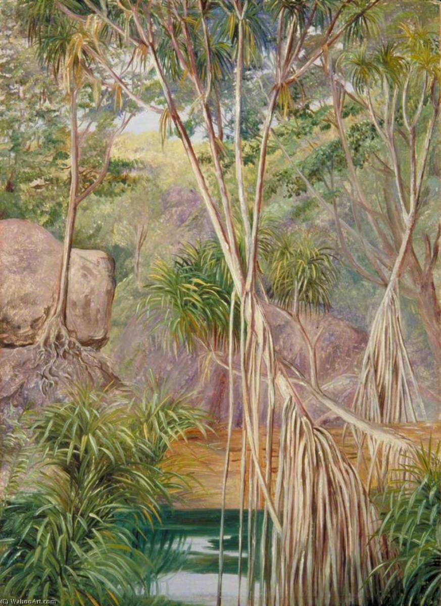 Wikioo.org - สารานุกรมวิจิตรศิลป์ - จิตรกรรม Marianne North - Screw Pines in Praslin, Seychelles