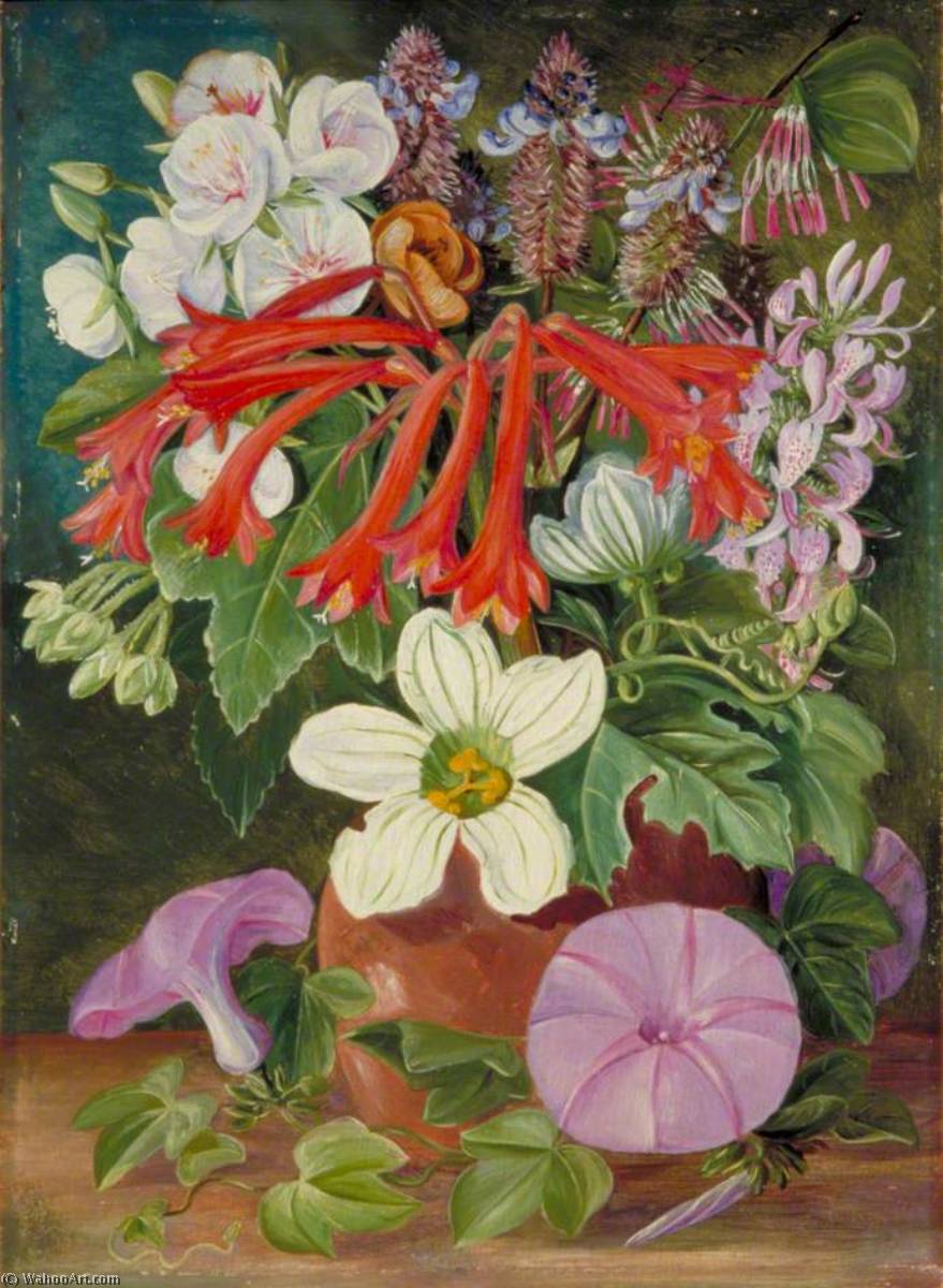 WikiOO.org - Güzel Sanatlar Ansiklopedisi - Resim, Resimler Marianne North - Group of Natal Flowers