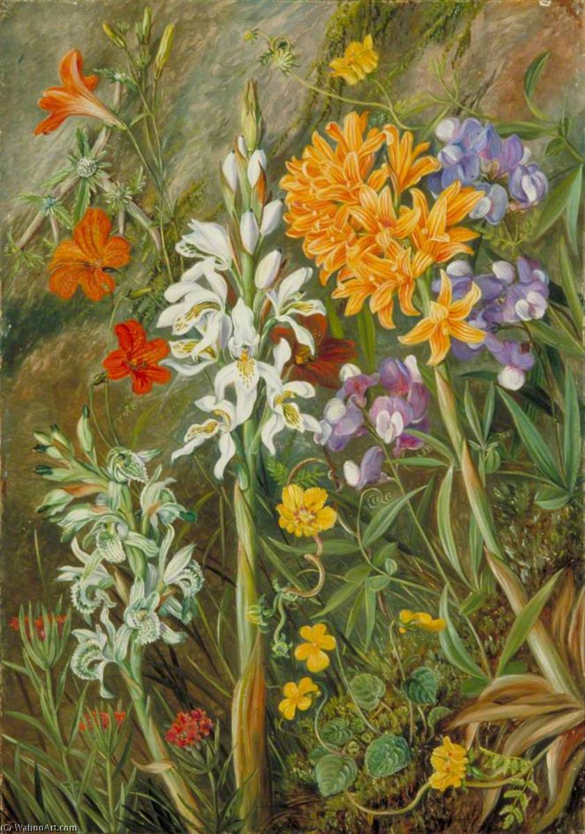 WikiOO.org - Encyclopedia of Fine Arts - Maľba, Artwork Marianne North - Chilian Ground Orchids and Other Flowers