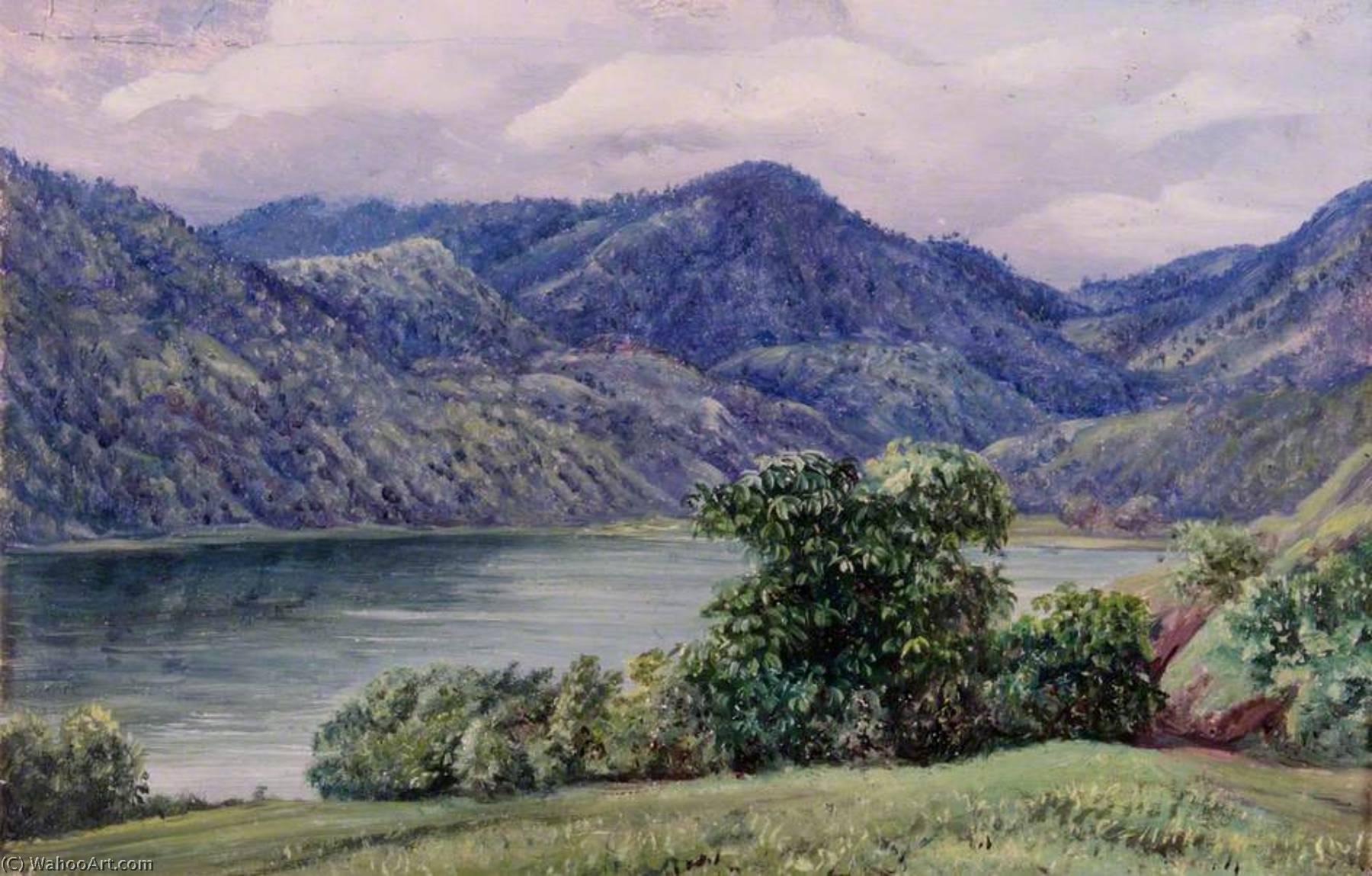 Wikioo.org - The Encyclopedia of Fine Arts - Painting, Artwork by Marianne North - Mr Moffat's Farm, Queensland