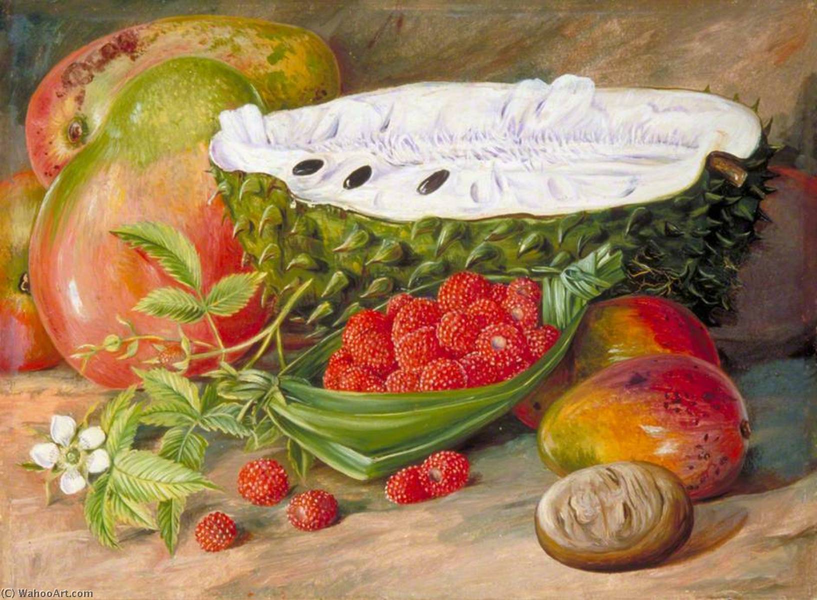 Wikioo.org – La Enciclopedia de las Bellas Artes - Pintura, Obras de arte de Marianne North - cultivo de frutas en el Seychelles