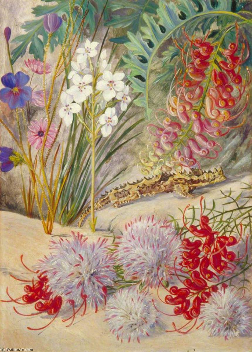 Wikioo.org - The Encyclopedia of Fine Arts - Painting, Artwork by Marianne North - West Australian Sand Loving Plants