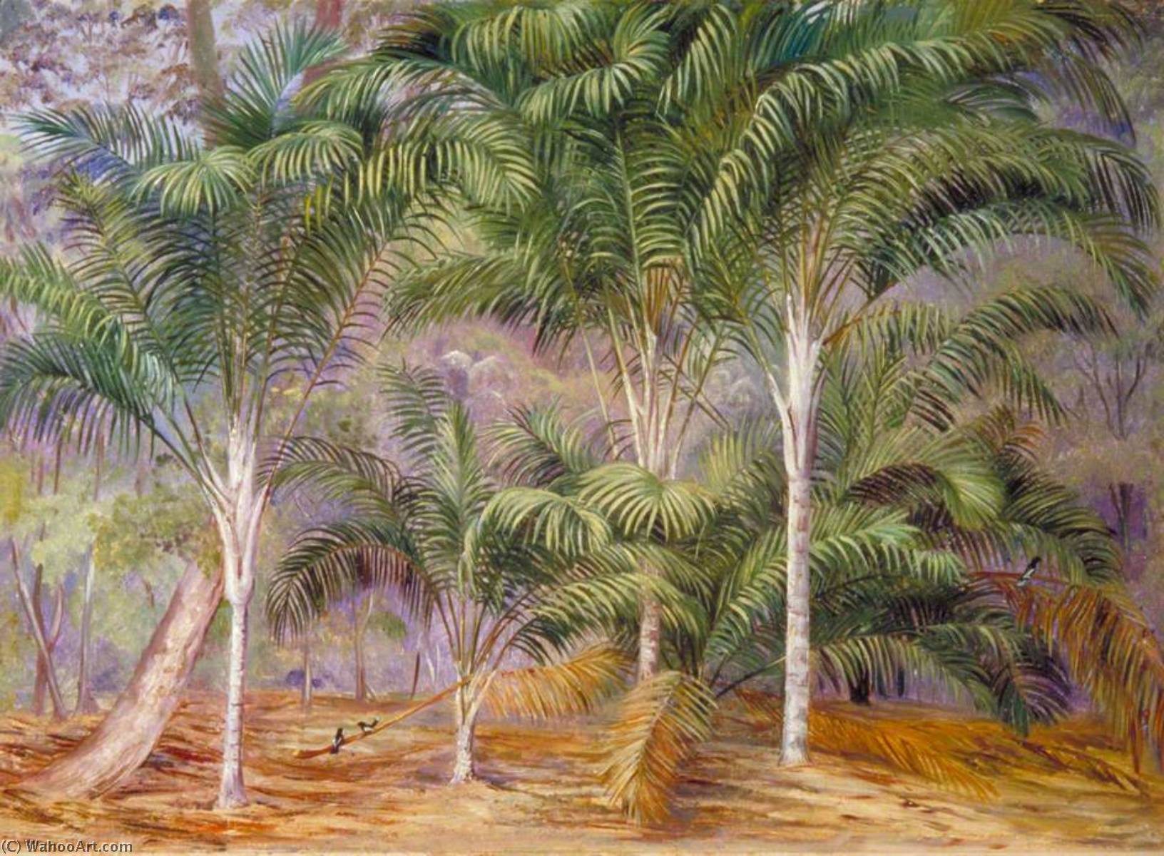 Wikioo.org - The Encyclopedia of Fine Arts - Painting, Artwork by Marianne North - A Group of Palms in Mahé, Seychelles